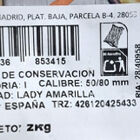 Patata para freír malla 2kg