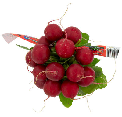 Rabanitos bolsa 300g