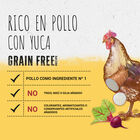 Pienso gato Purina beyond pollo 700g