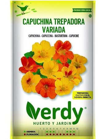 Semilla Verdy capuchina trepadora