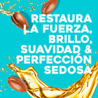 Champú Aceite de Argán de Marruecos OGX Cabellos Secos y Dañados 385 ml