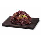 Lechuga roja hoja de roble 200g