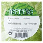 Lechuga iceberg 450g