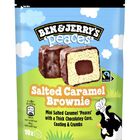 BEN&JERRY'S Peaces 10u Salted caramel Brownie