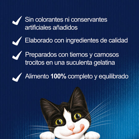 Comida húmeda gato gelatina Félix sabores pack 12