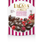 Arándanos naturales sin gluten con chocolate negro Lacasa 125g
