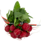 Rabanitos bolsa 300g