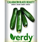 Semilla Verdy calabacín black beauty