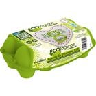 Huevos ecológicos M-L Rujamar 8 unidades