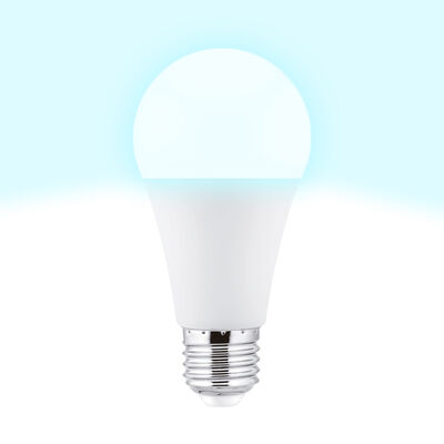 Bombilla Led esf&eacute;rica e27 pl&aacute;stico TM a65 15W fr&iacute;a