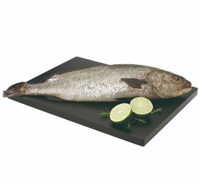 Corvina origen Alicante 1,5kg aproximadamente