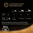 Comida húmeda perro César pollo buey verdura pack 4
