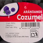 Arándano bandeja 500g