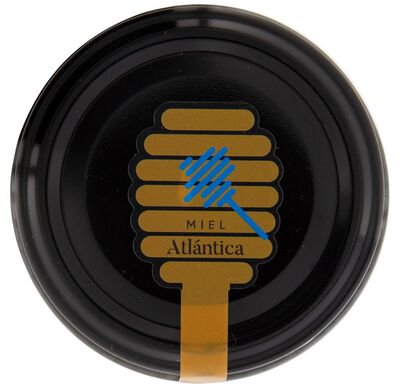 Miel de flores ecologica Pazo De Lusio 500g