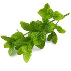 Hierbabuena bolsa 20g