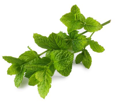 Hierbabuena bolsa 20g