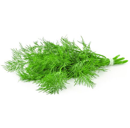 Eneldo bolsa 20g