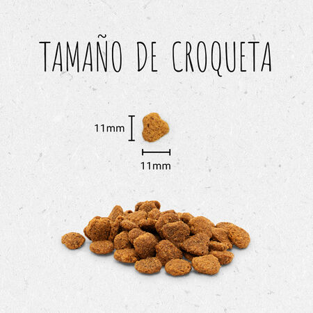 Pienso gato Purina beyond pollo 700g