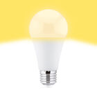 Bombilla Led esférica e27 plástico TM a65 15W cálida
