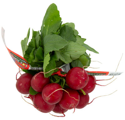Rabanitos bolsa 300g