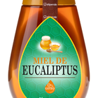 Miel de eucalipto antigoteo Alipende 350g