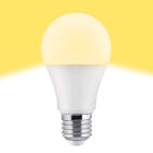 Bombilla Led esférica e27 plástico TM a60 10W cálida