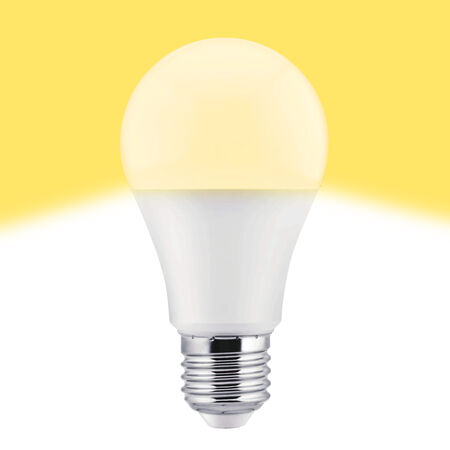 Bombilla Led esférica e27 plástico TM a60 10W cálida