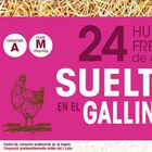 Huevos de gallinas sueltas en el gallinero Alipende 24u "clase m"