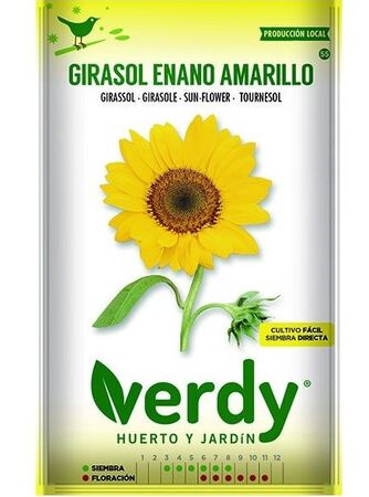 Semilla Verdy girasol enano amarillo