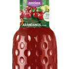 Bebida antioxidante arándanos y uva Granini 1l