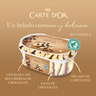 Helado Carte D'or capuccino 825ml