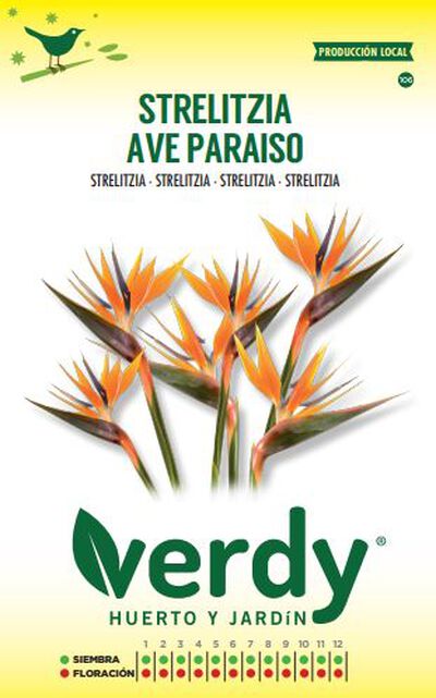 Semilla Verdy strelitzia ave paraiso