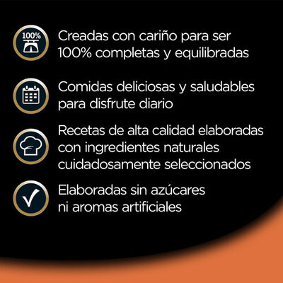 Comida h&uacute;meda perro C&eacute;sar pat&eacute;s cl&aacute;sicos pack 4