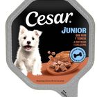 Alimento para perro Junio Cesar 150g Pavo-ternera