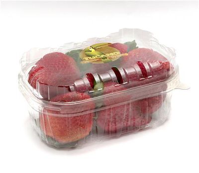 Fres&oacute;n bandeja 250g