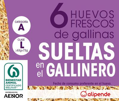 Huevos de gallinas sueltas en el gallinero Alipende 6u "clase l"