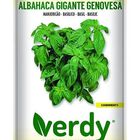 Semilla Verdy albahaca genovesa