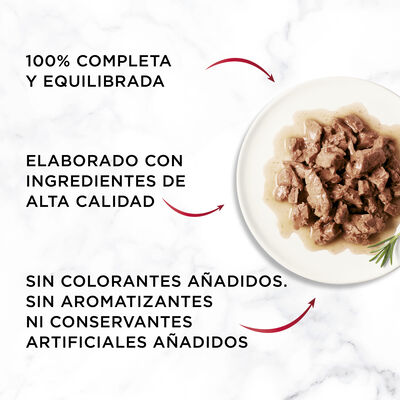 Comida h&uacute;meda gato Purina Gourmet mon petit pack 6