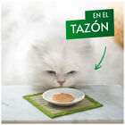 Snack gato Purina Pure gourmet salm&oacute;n 5 uds