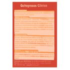 Desengrasante líquido Lanta 1l pistola