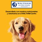 Snack perro Biscrokg Pedigree 500g