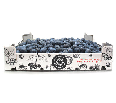 Arándano caja 1kg