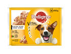 Comida h&uacute;meda perro Pedigree carne mixta pack 4