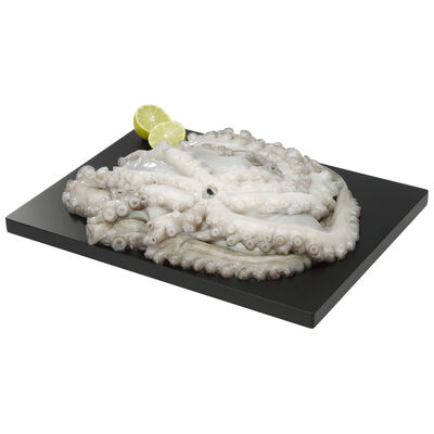 Pulpo crudo gordo 2-3kg