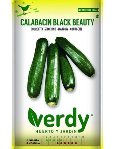Semilla Verdy calabacín black beauty