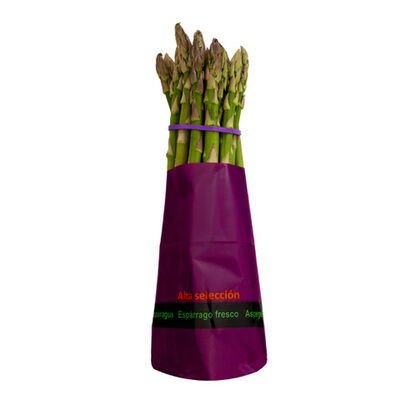 Esp&aacute;rrago verde manojo 250g