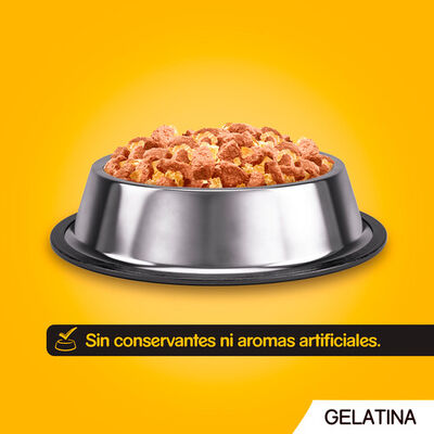 Comida húmeda perro Pedigree carne mixta pack 4