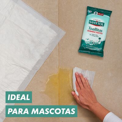Toallitas desinfectantes Sanytol 30 uds