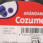 Arándano bandeja 500g