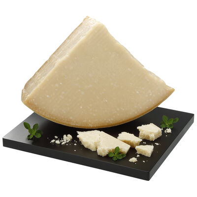 Parmigiano Reggiano Michelangelo